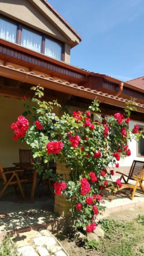 Balassi apartment